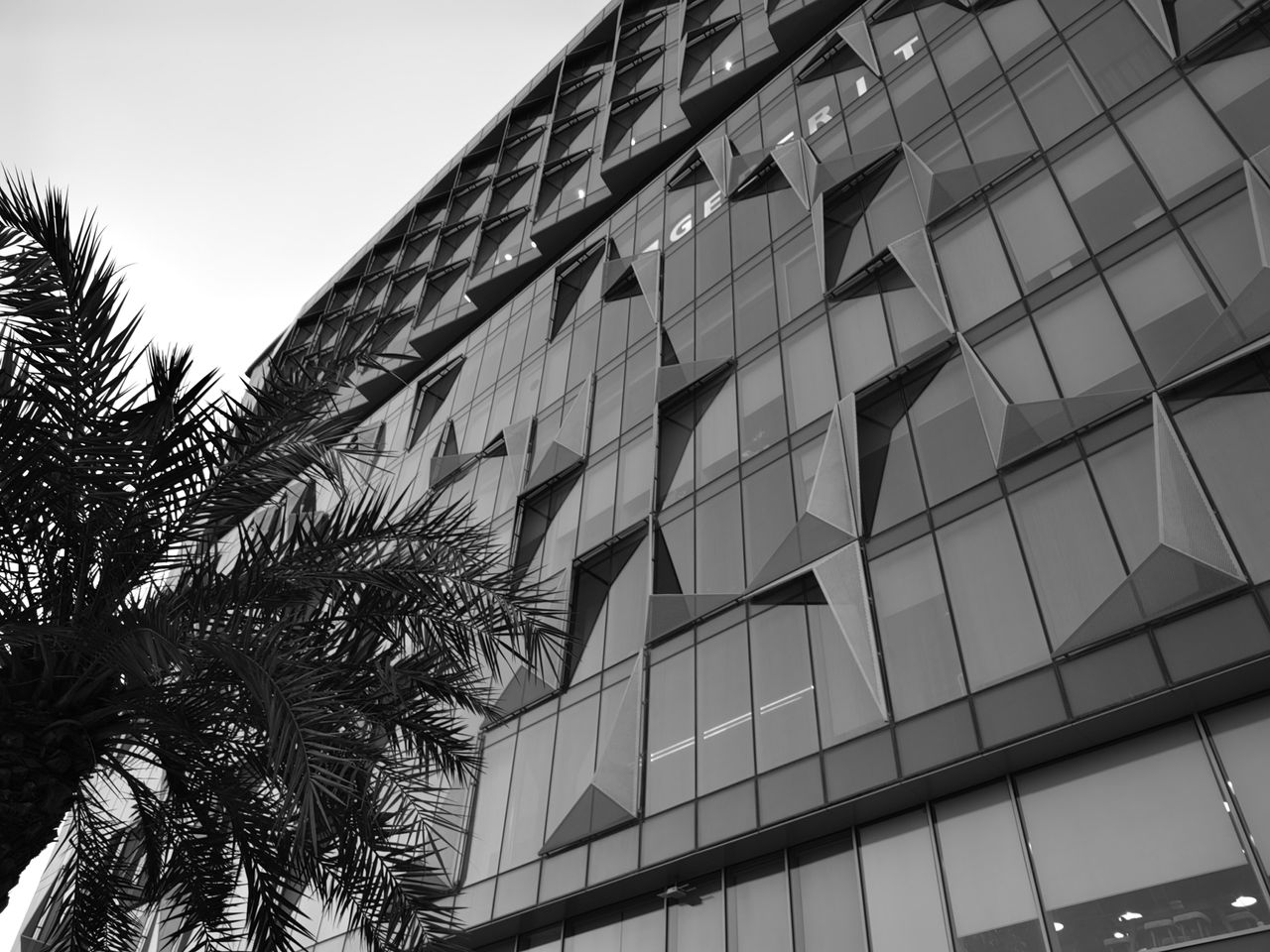 Shot on Huawei P50 Pro