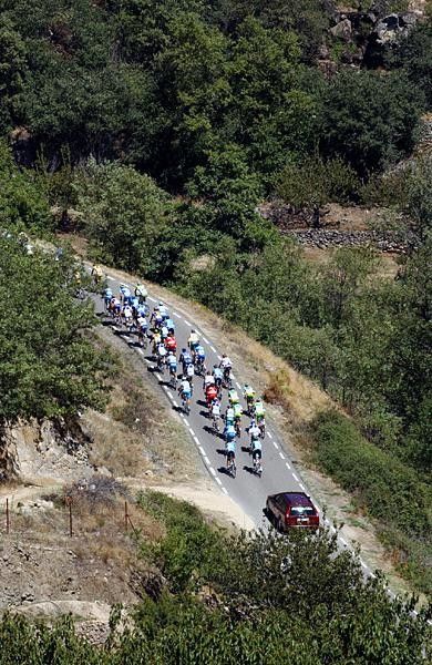 The tail end of the bunch