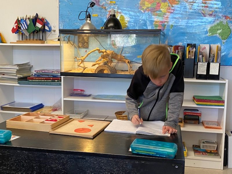 A student writes on a piece of paper in classroom with an iguana tank behind him.