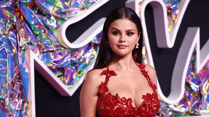 Selena Gomez refused to clap for Chris Brown