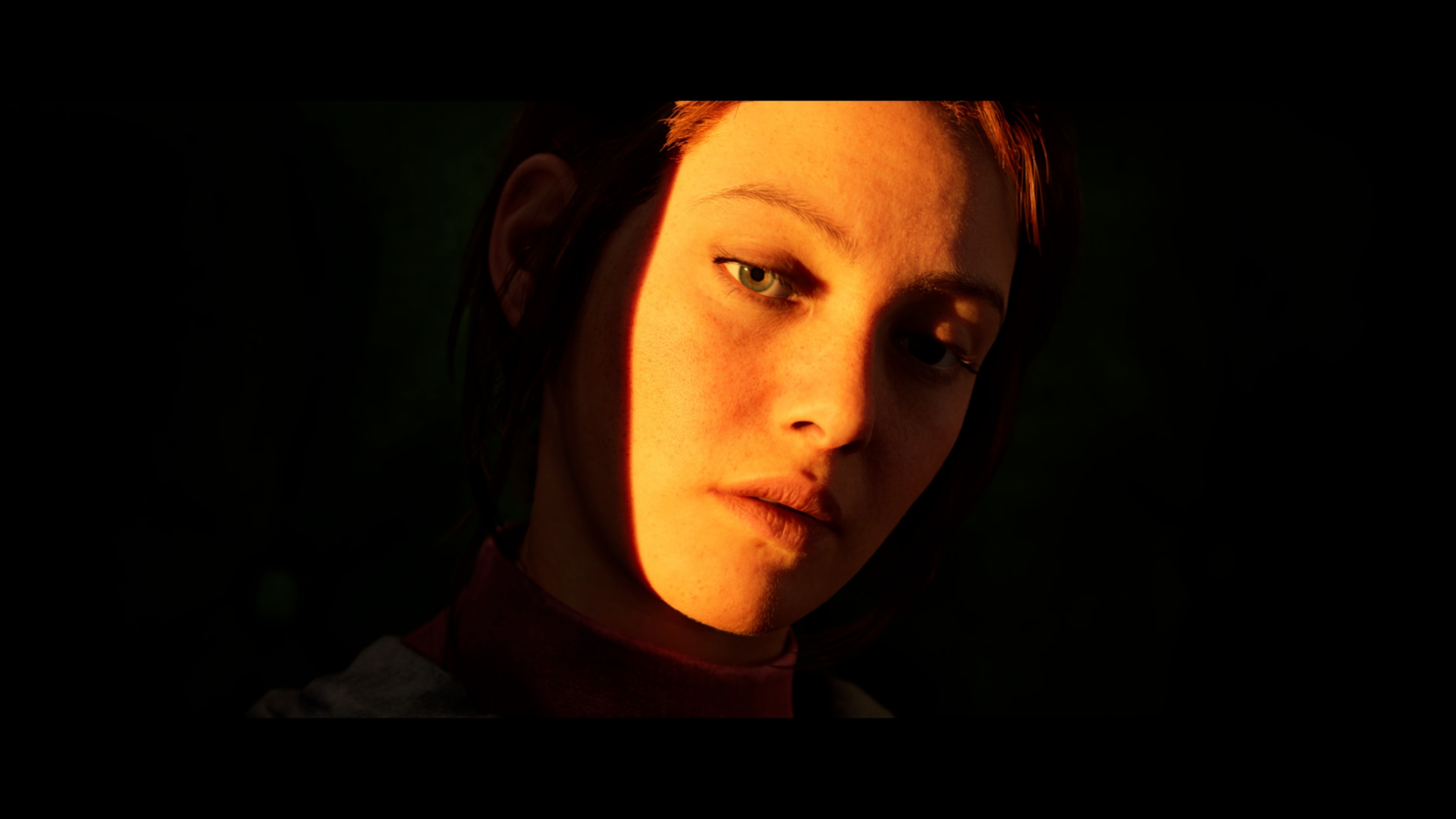 Hanna's face, half-lit by the sunset.