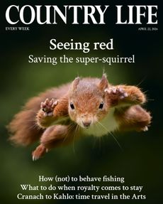 Cover of Country Life 22 April 2026, featuring a leaping red squirrel photographed by Terry Donnelly.