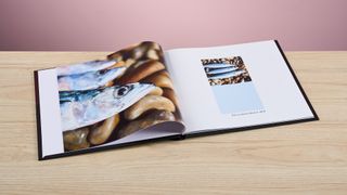 The Mixbook photo book sits open, turned to pages featuring close-ups of fish and a pale blue square.