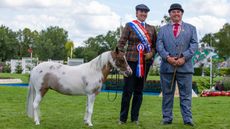 2024 RIHS BMHS miniature horse championship