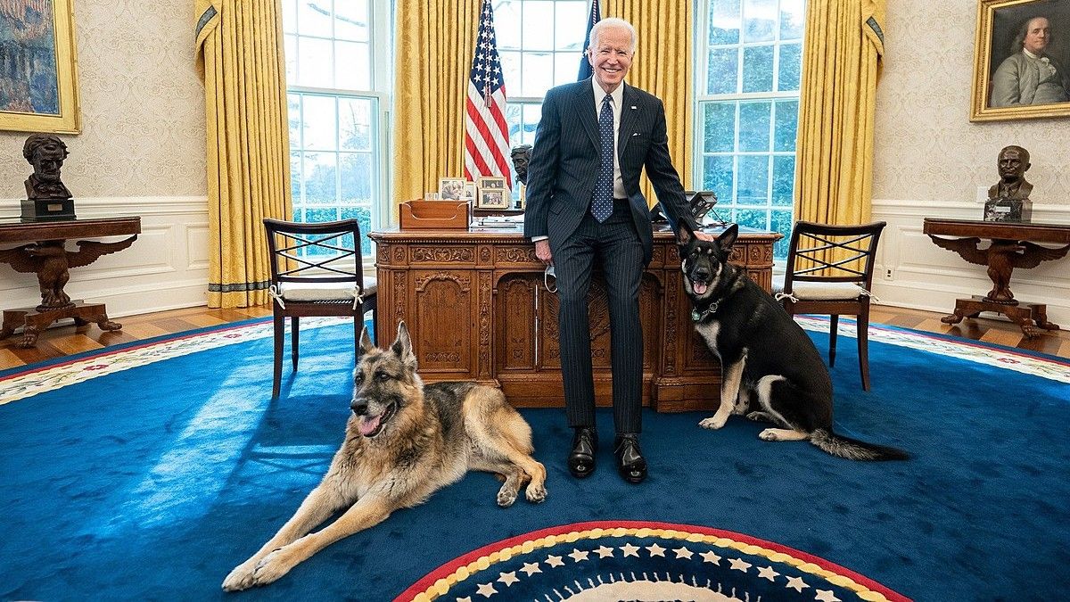 Joe Biden&#039;s dog Major with Champ in the oval office