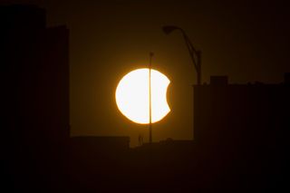 A dove photobombed this picture of the partial solar eclipse of March 20, 2015, in this image taken from Munich, Germany.