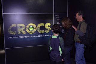 Crocs Exhibition entrance