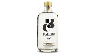 Black Cow on white background