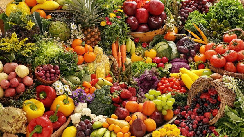a spread of fresh fruits and vegetables