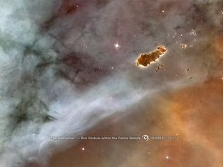 The Caterpillar, a Bok Globule in the Carina Nebula