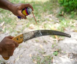 Squirting WD40 onto the blade of a pruning saw