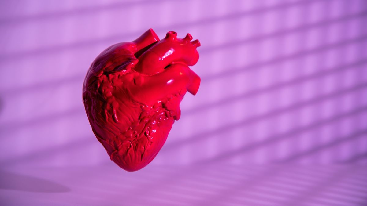 a simplified 3D rendering of a human heart on a purple background