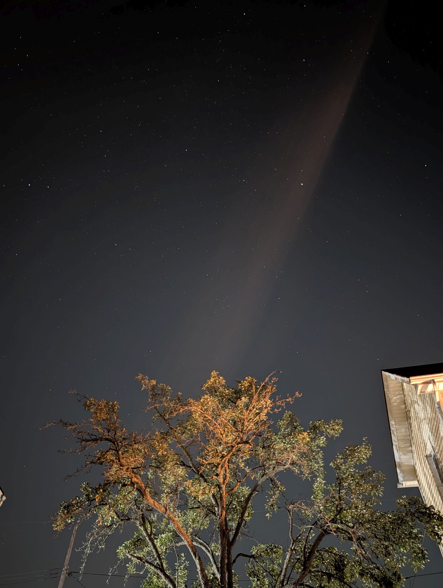 Pixel 10 Pro XL astrophotography sample.