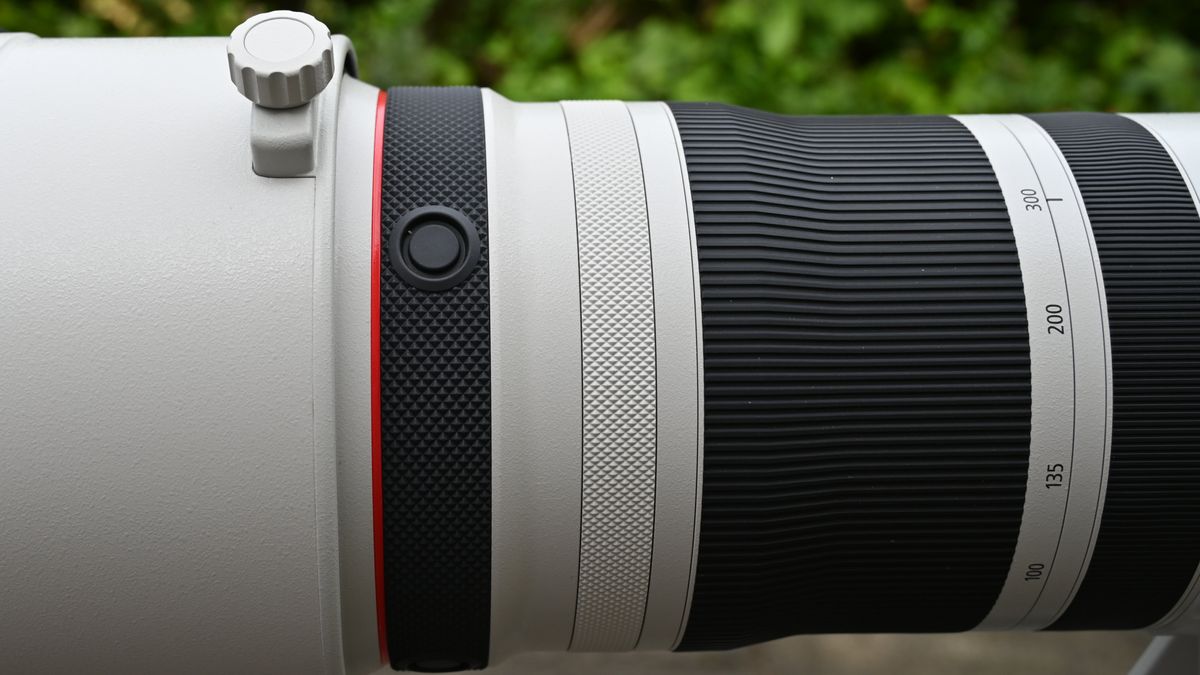 Canon RF 100-300mm F2.8L IS USM review | Digital Camera World