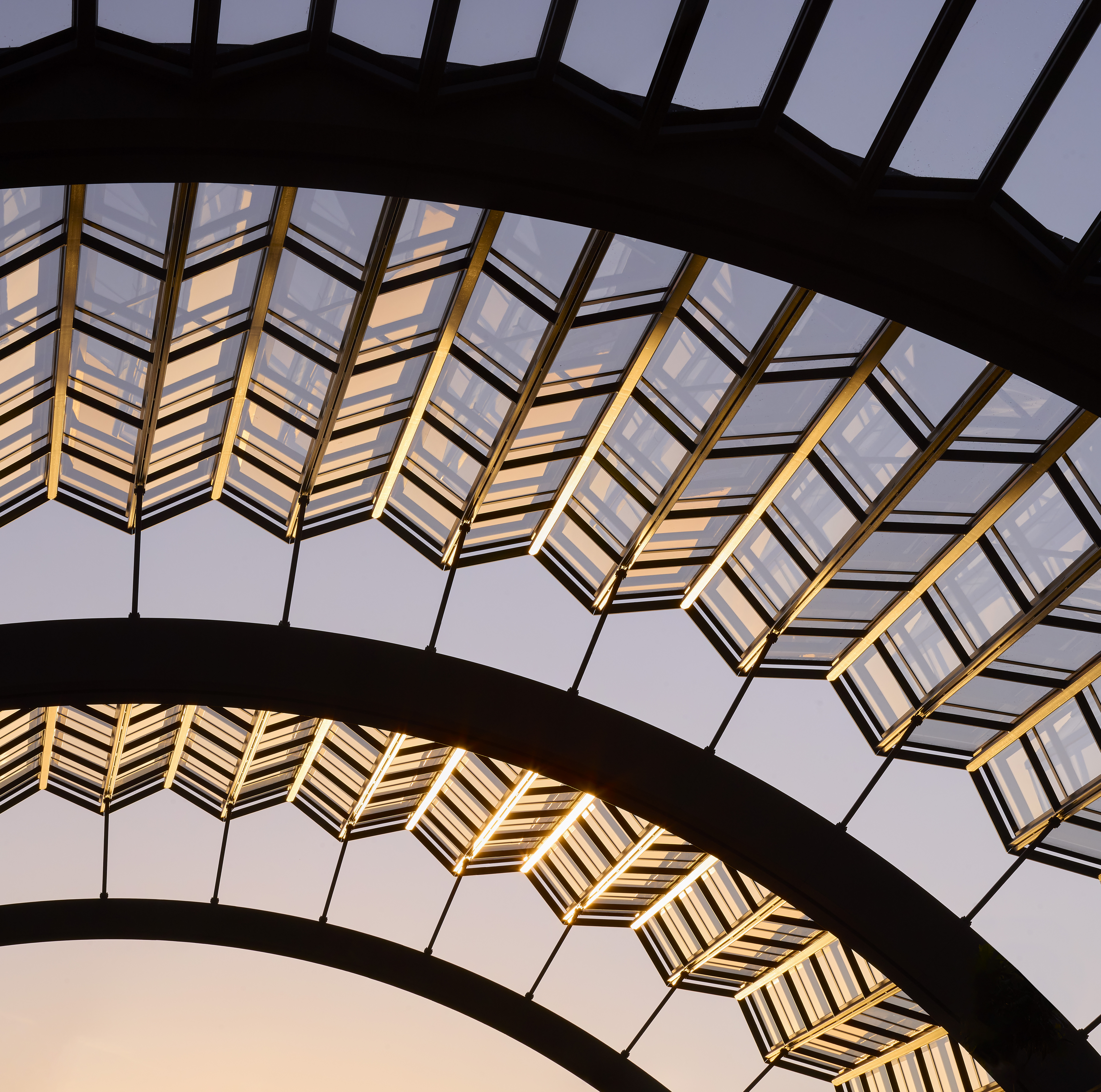Olympia Canopy