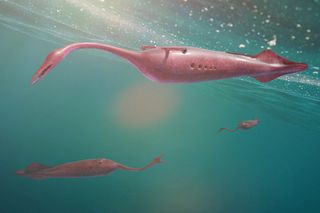 An illustration of the Tully monster, a weird creature with hammerhead-like eyes and a slender snout.