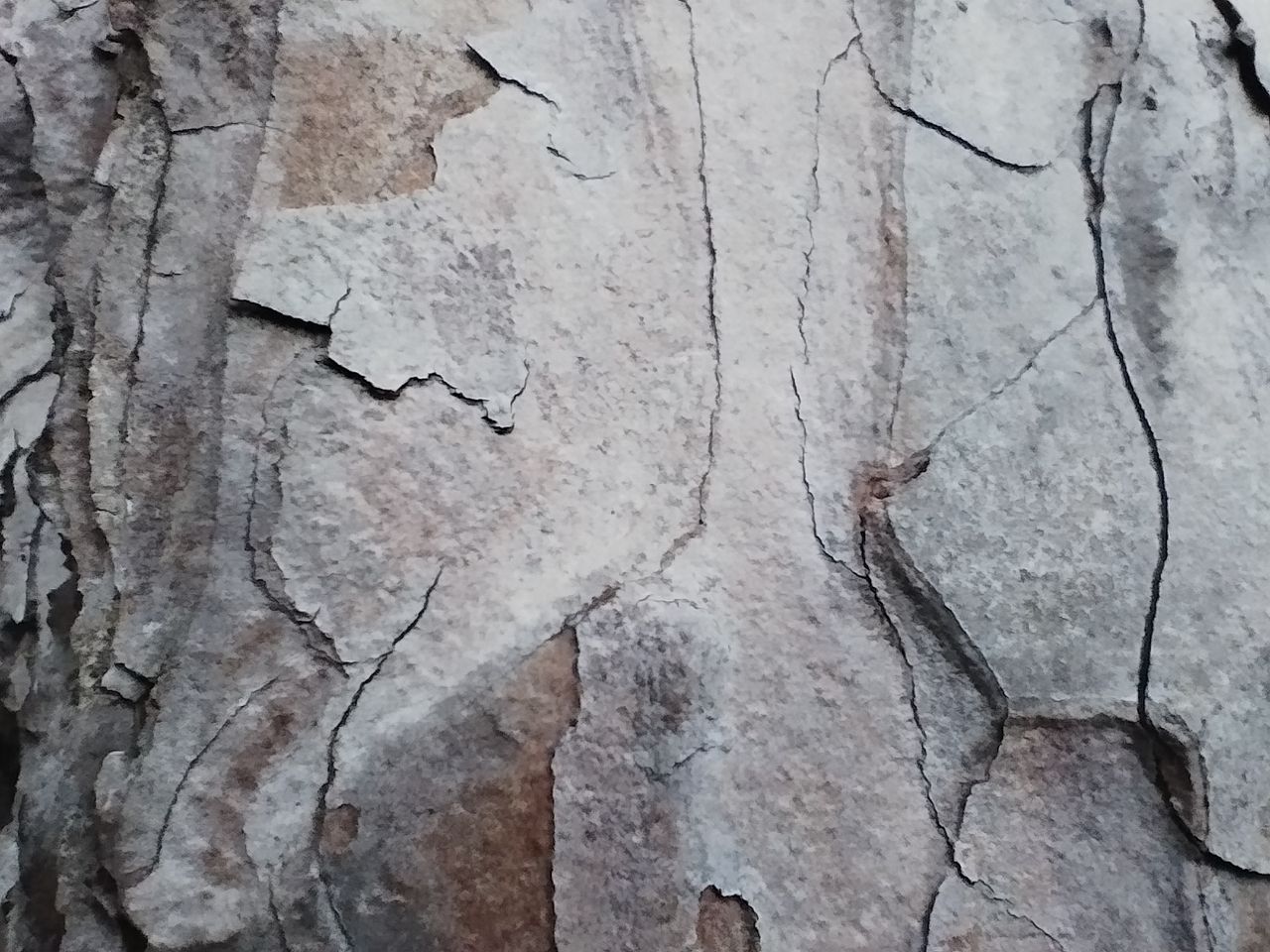 A Xiaomi Poco X4 Pro camera sample