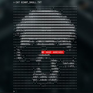 Giant skull rendered in ASCII characters