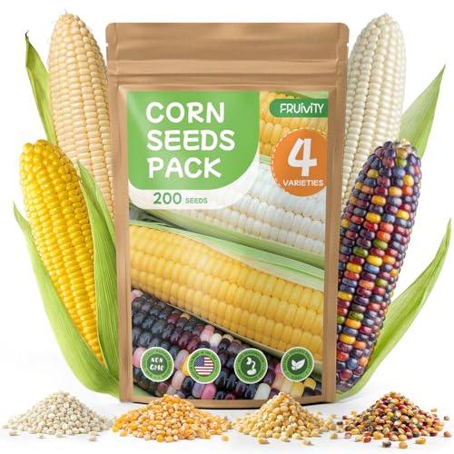 4 Corn Seeds Variety Pack - 200+ Heirloom Corn Seeds for Planting Outdoor, Includes Sweet Corn, Golden Bantam,silver Queen &amp;amp; Glass Gem Corn, Perfect Home Garden Gift for Beginners, Mom, Her
