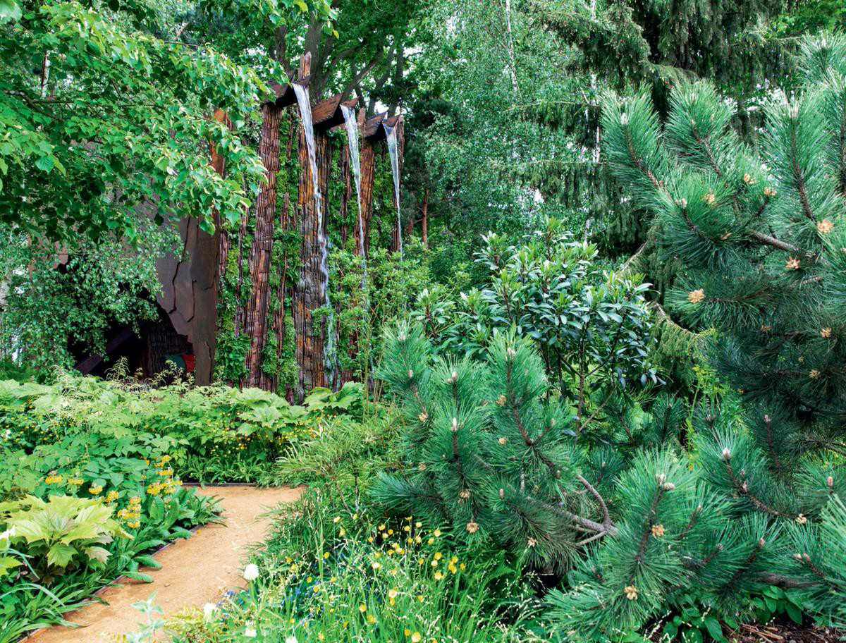 The true best in show at the Chelsea Flower Show in 2022? Sarah Eberle’s ‘Building the Future’ garden won a Gold medal — but should it have won the top award? Credit: Andrew Sydenham for Country Life