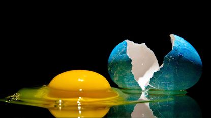 cracked blue egg next to yellow yolk
