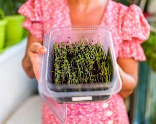 Woman holding plastic container with seedlings inside