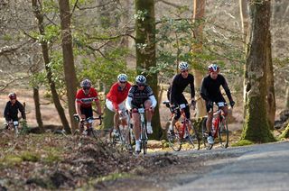 The best bicycle insurance will cover your bike, you and others at events, like this one in the image that shows several riders on bikes on a road between woodland