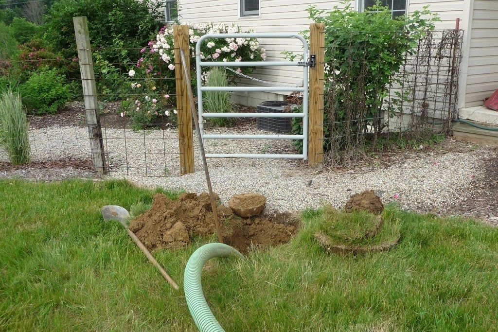 Garden Over A Septic Tank