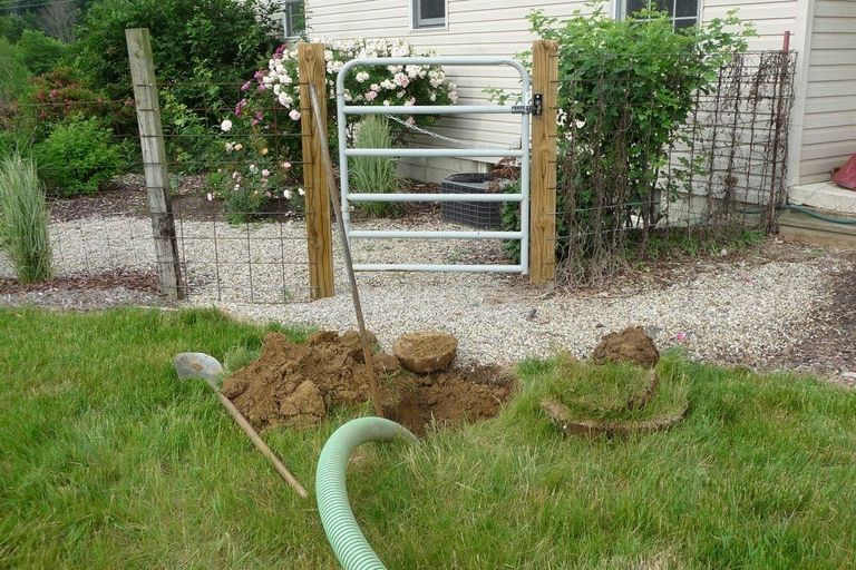 Septic System Gardening Info Planting Gardens On Septic Drain Fields Gardening Know How