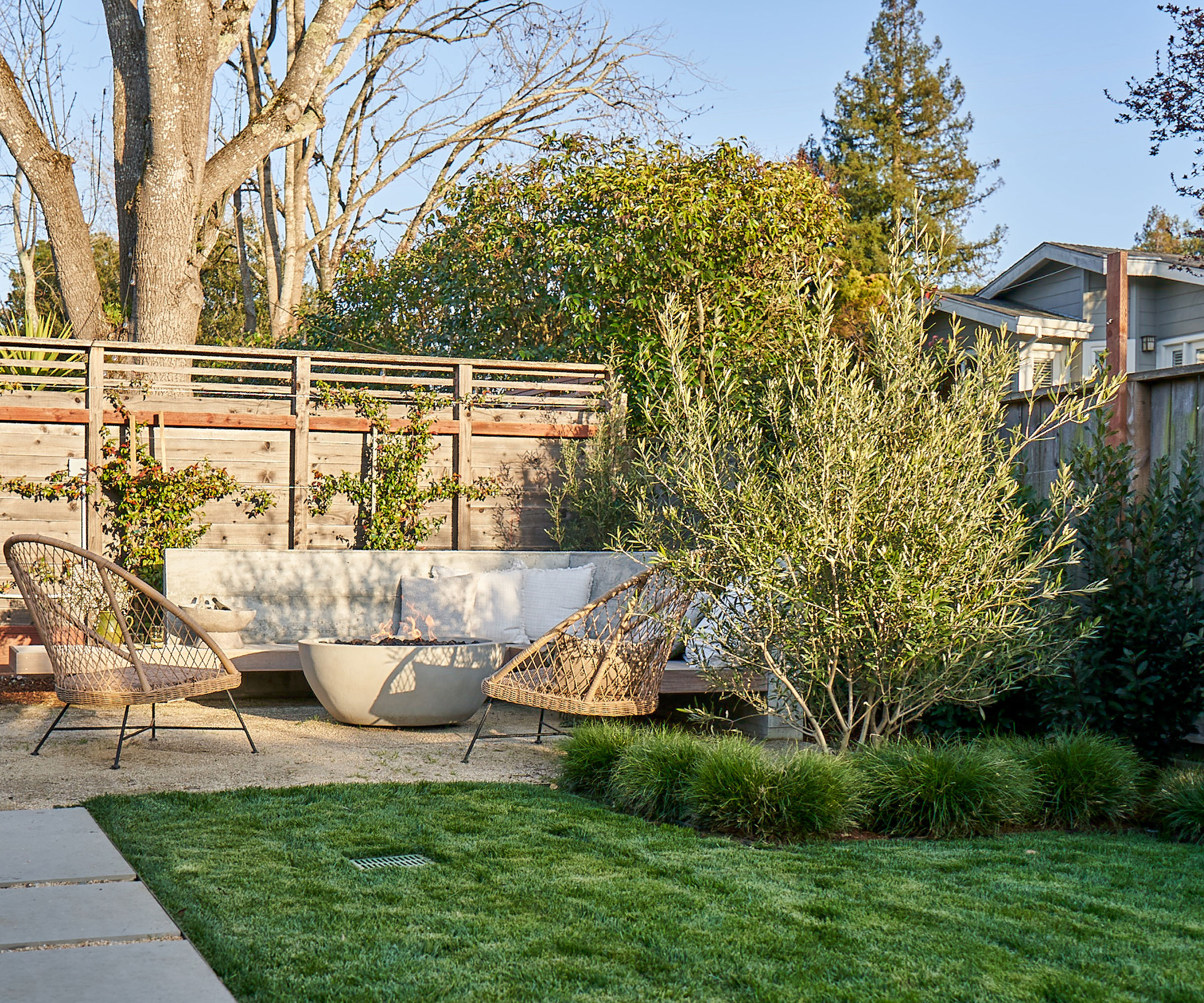 small garden in winter with lawn, patio, garden furniture and fire pit, with trees and shrubs