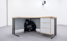 Ape under desk: artwork from The Irreplaceable Human exhibition at Louisiana museum Denmark