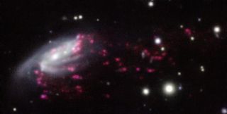 Another jellyfish galaxy, JW206, imaged by ESO's Very Large Telescope.