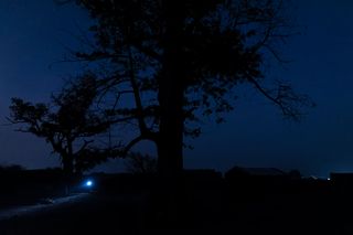 Tree in the night in lighting photo series by Iwan Baan and Francis Kéré for Zumthobel