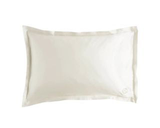 ESPA silkcare silk pillowcase in pearl white cut out image 