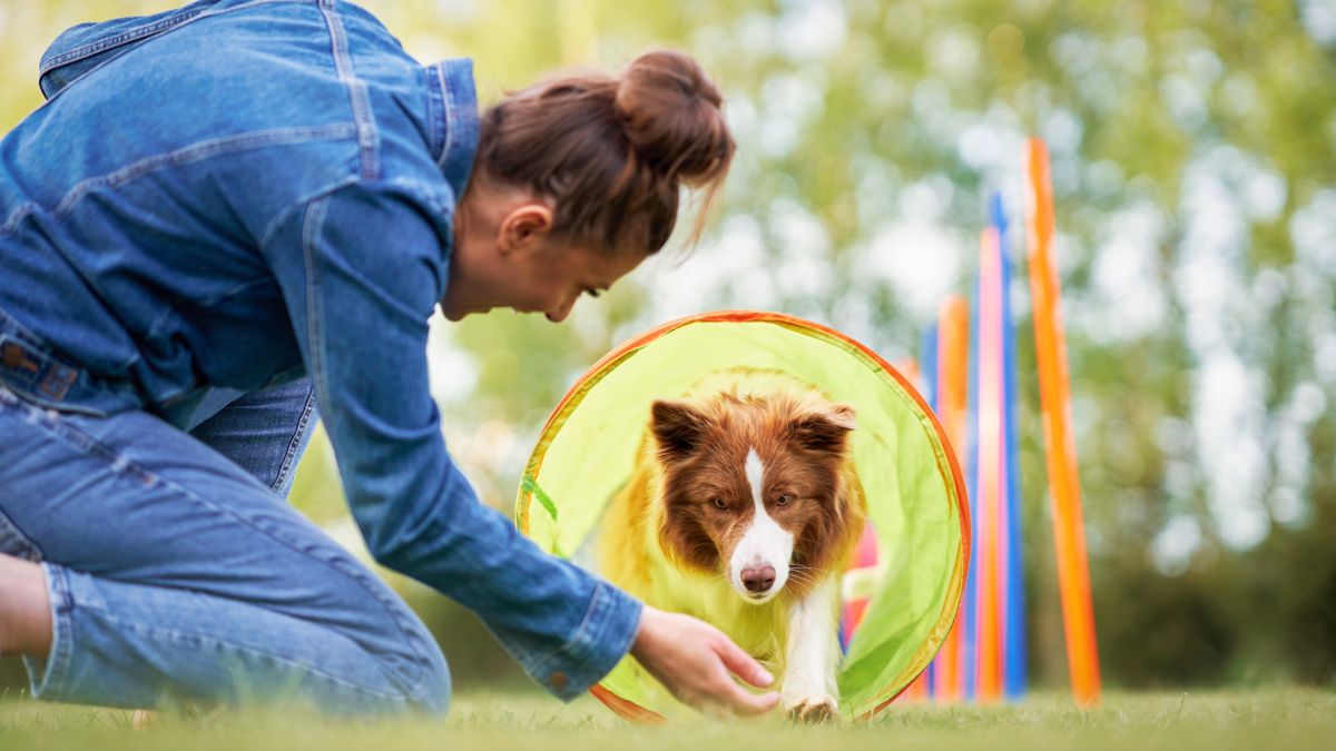 Woman training dog