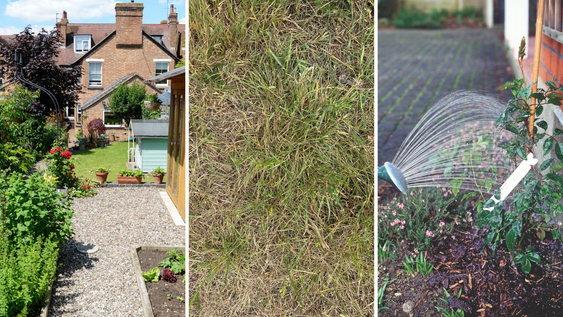 collage of three images showing gardens in summer to support how help gardens recover from a heatwave
