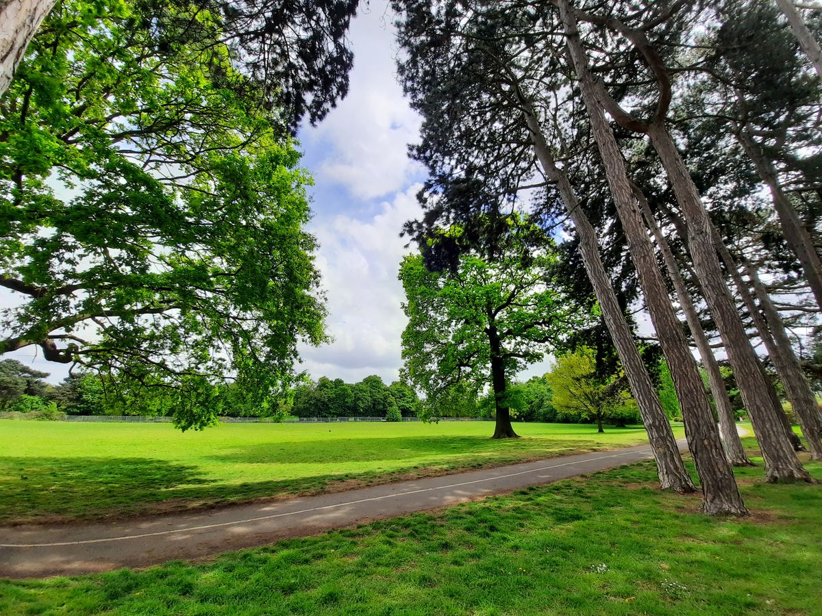 The ultra-wide camera&rsquo;s color saturation makes grass appear unnaturally green.