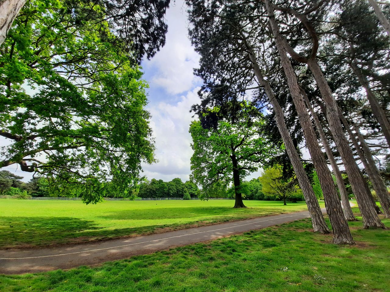 The ultra-wide camera&rsquo;s color saturation makes grass appear unnaturally green.