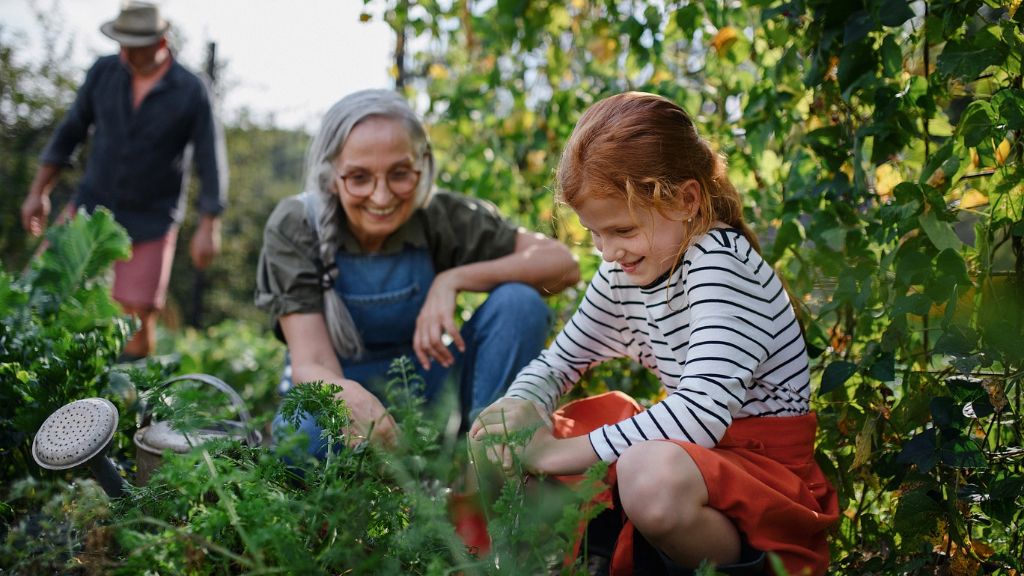 An older woman and girl garden together