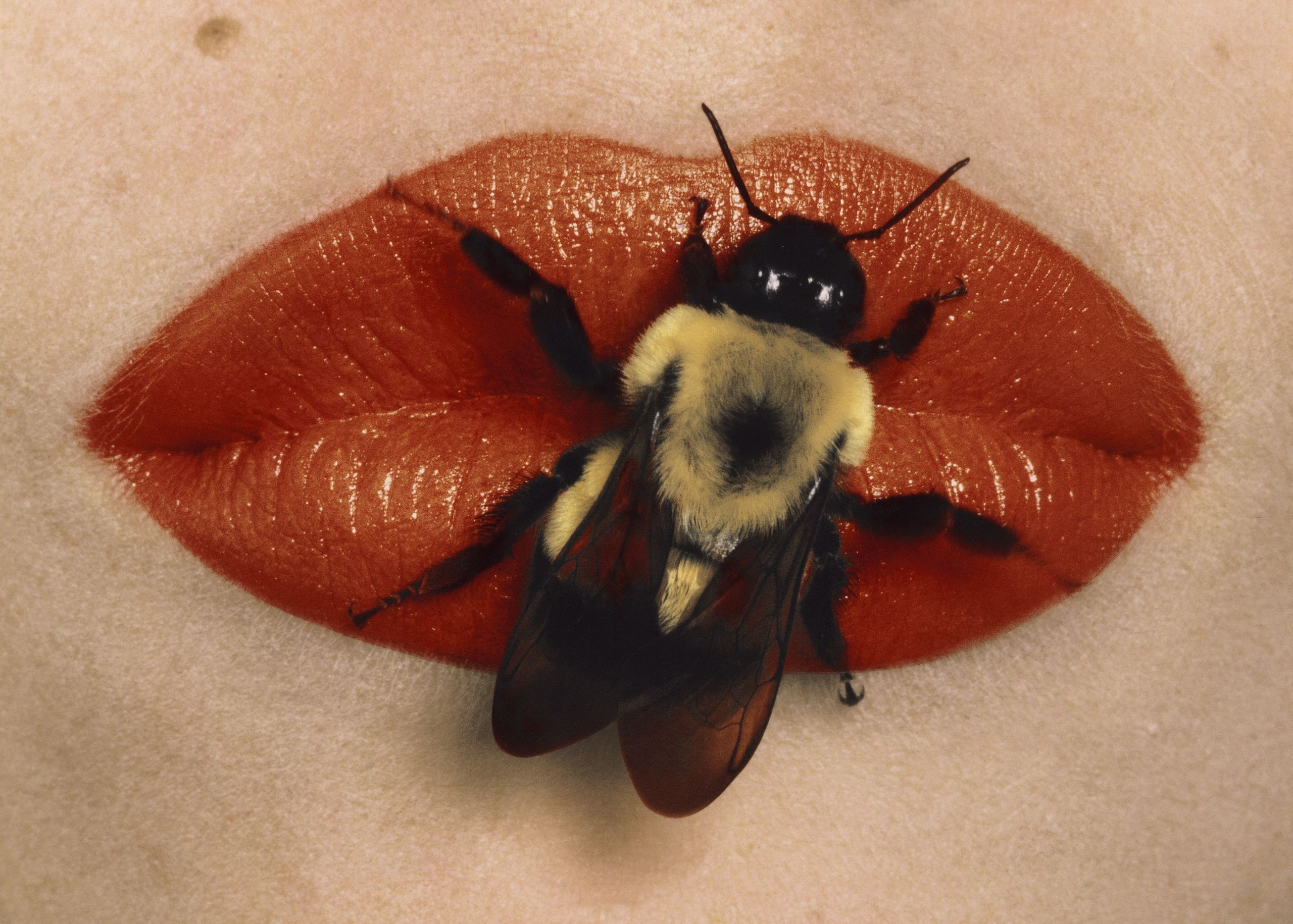 wallpaper.com - Jean Grogan - Irving Penn transformed fashion photography - a new show is causing a buzz