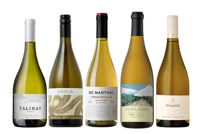 South American white wines