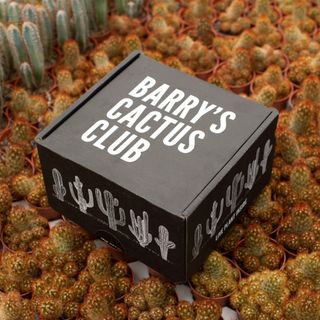 Barry's Cactus Club Gift A Box