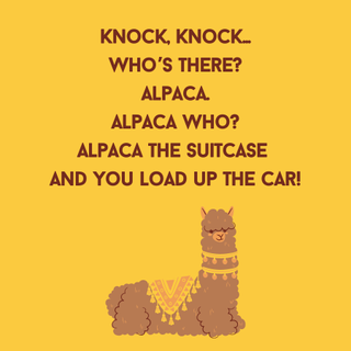 one of the best alpaca knock-knock jokes for kids