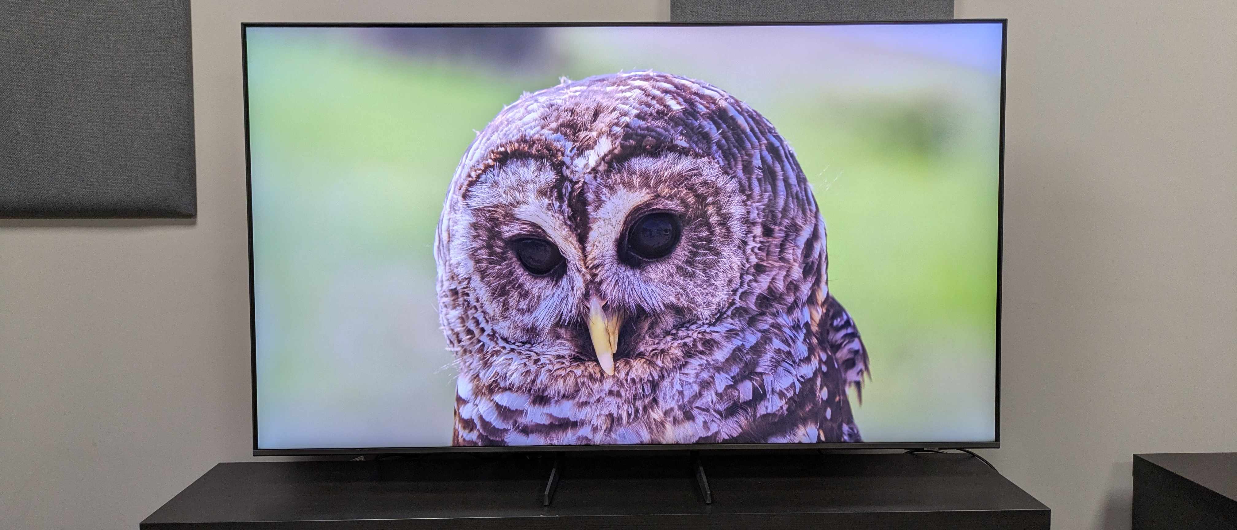 Samsung Q8F hero image with owl on screen 