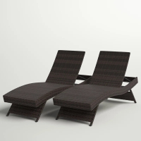 Everlee Outdoor Chaise Lounge Set (Set of 2)