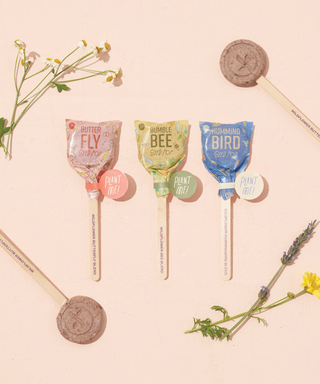 Three pollinator seed pops on a pastel background surrounded by unwrapped pops and wildflowers
