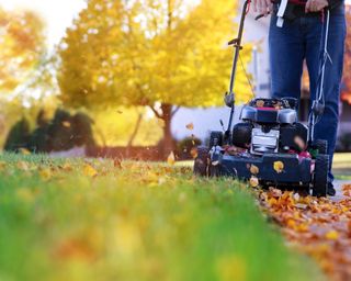 Mowing the lawn in fall