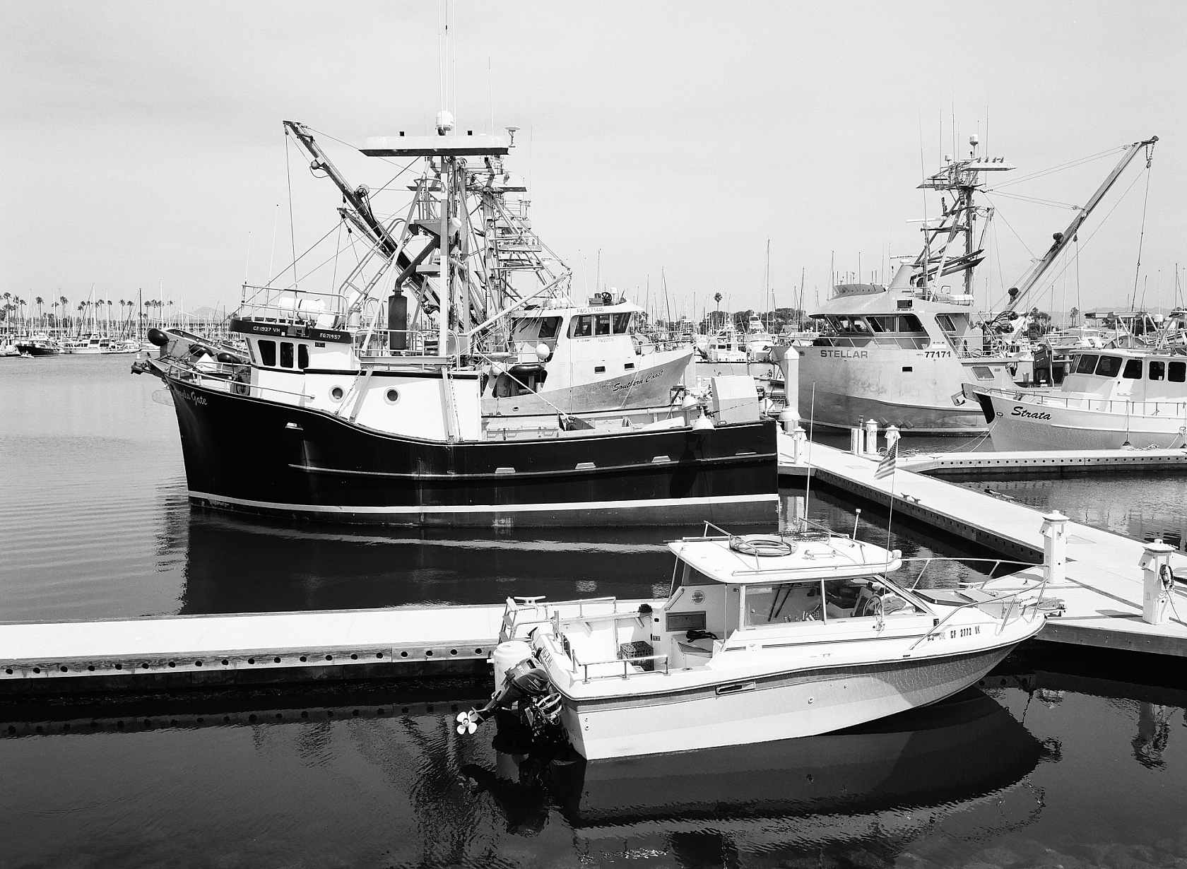 A sample Kodak Ektapan film image