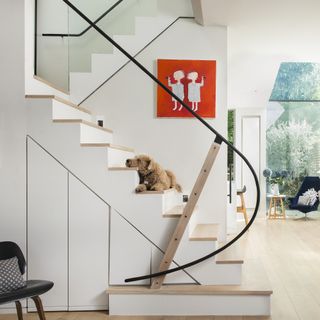 open staircase with sweeping balustrade and dog