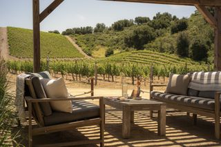 The vineyards of Clos Soléne in Paso Robles, California, seen behind the outdoor tasting area on a sunny day